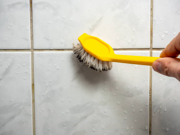 Best Black Mold Removal  in Aristocrat Ranchettes, CO