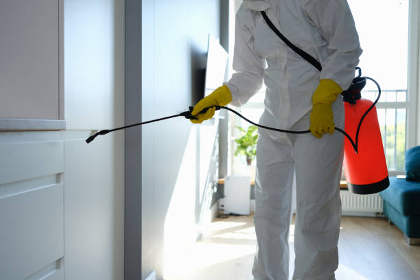 Best Certified Mold Removal  in Aristocrat Ranchettes, CO